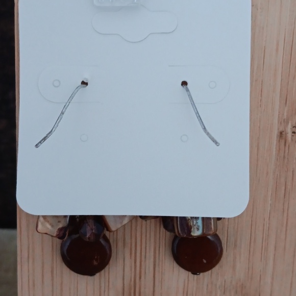 Multi Colored Brown Stone/Glass Dangle Earrings - Picture 6 of 9